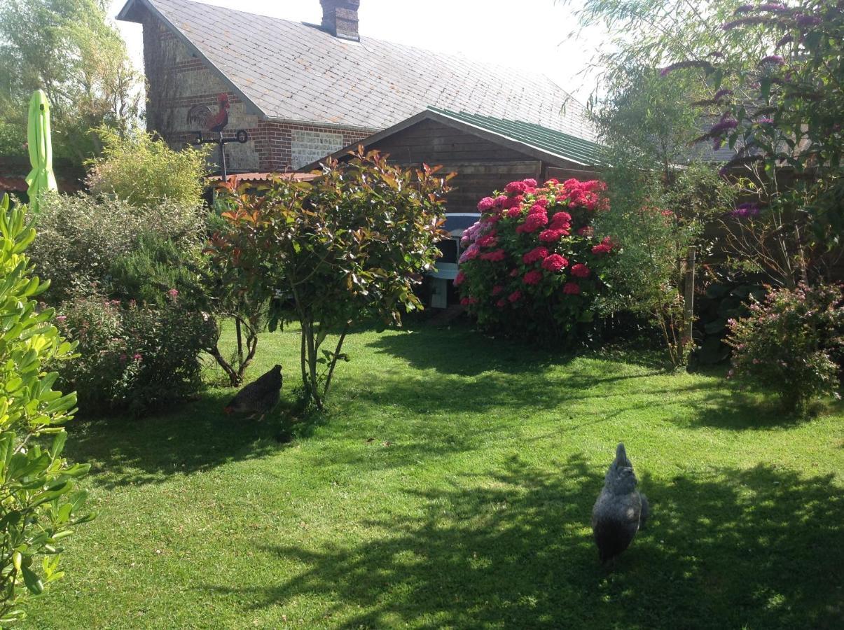 Le Jardin Des Poules Bed and Breakfast Thiétreville Exteriör bild
